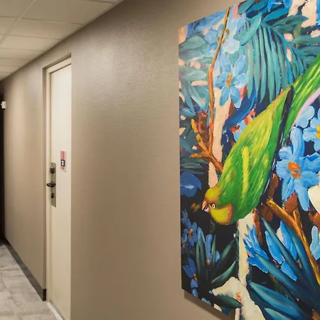 Ibis Styles St Gilles Croix De Vie Centre-ville 호텔 3*